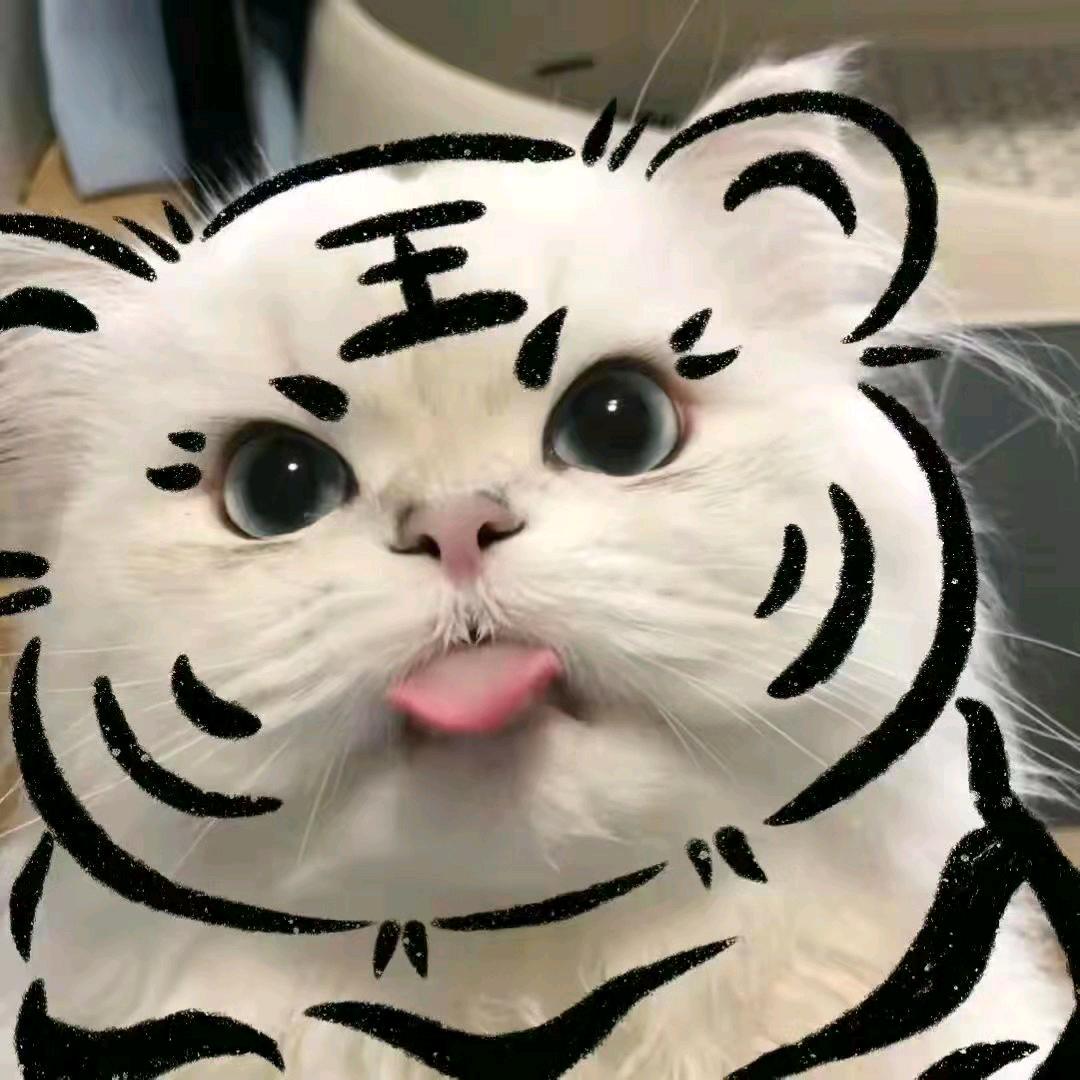 往哪儿跑