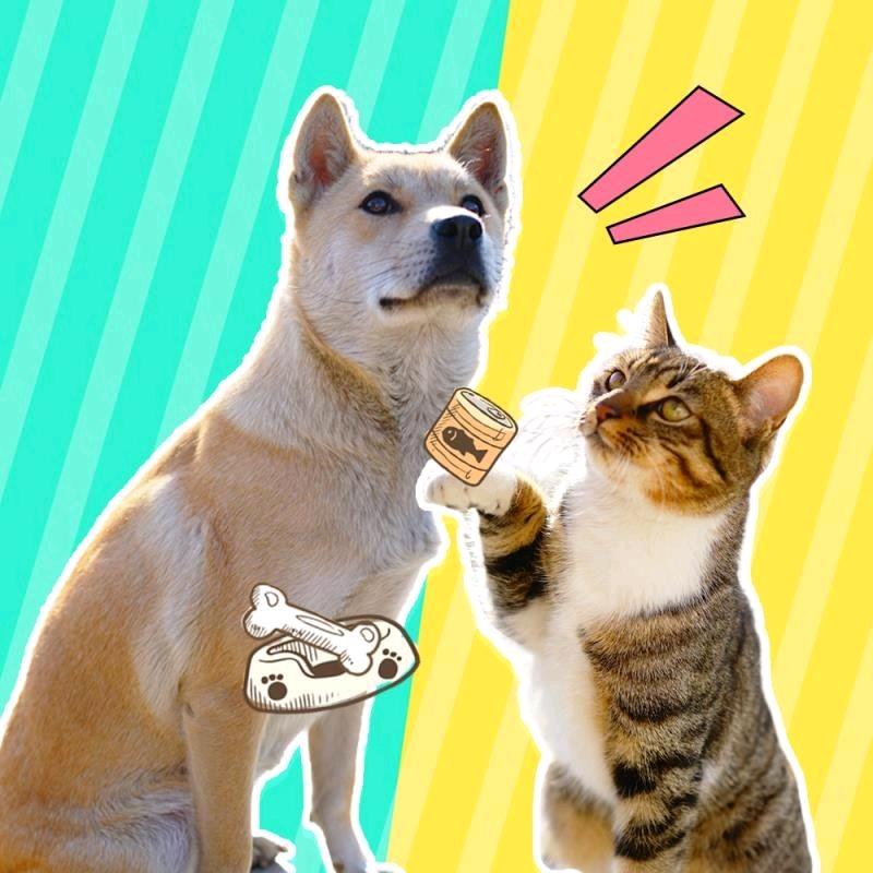 大黄（狐狸精）和钢镚@抖音