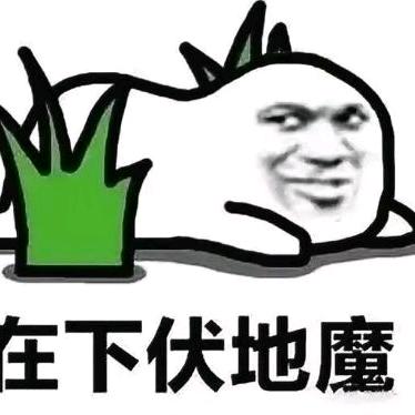 苟分天花板（首秀）