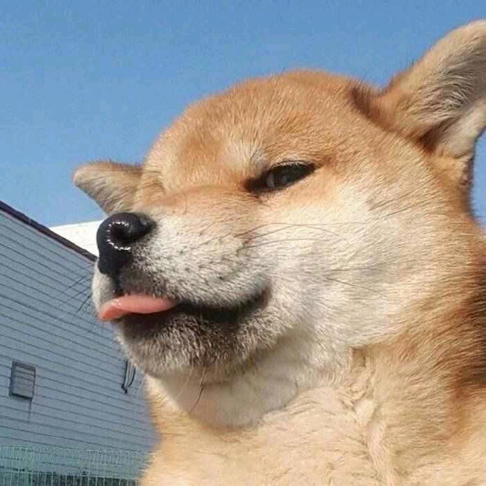 拍照的小慕