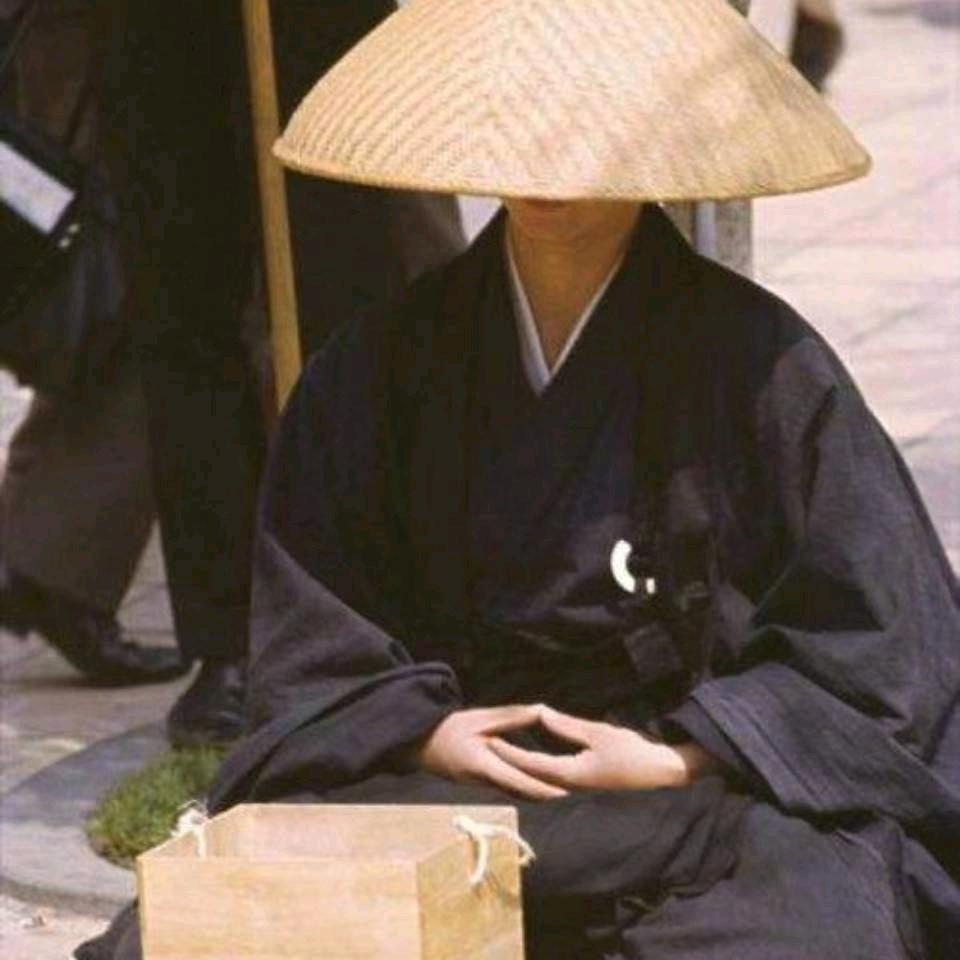 走马观花入红尘