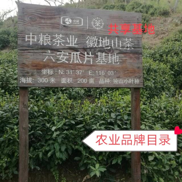 裕安卢士明