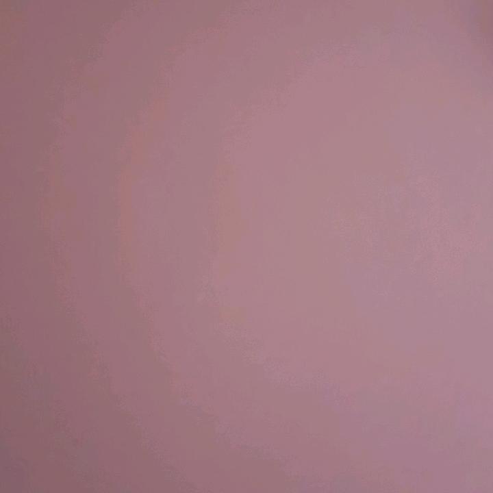 风里雨里一辈子陪你！