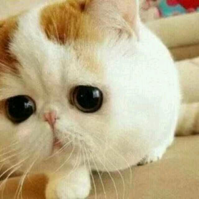 快乐每一天.
