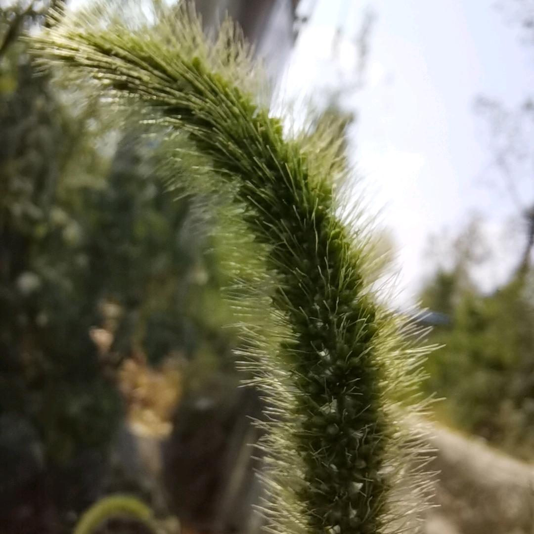 ～缘·客～