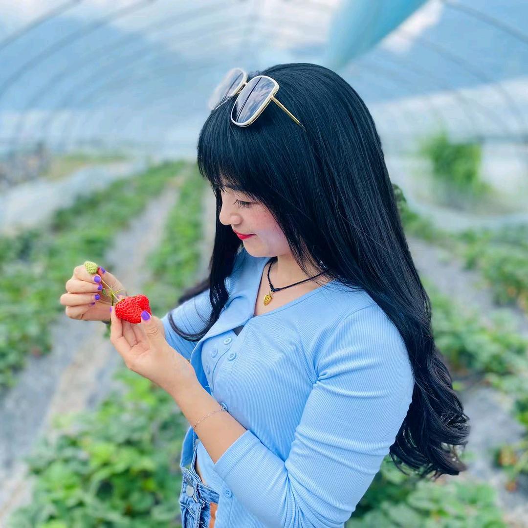 利川谊佳传媒（小会）