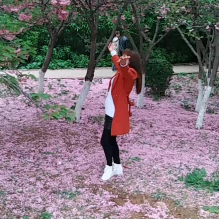 ️梦影蝶舞