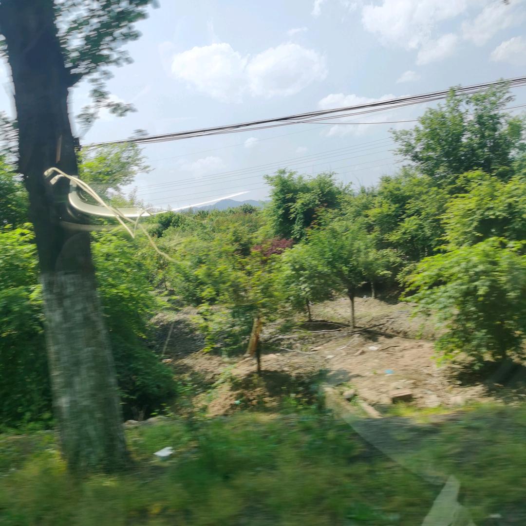 阳光下的春秋