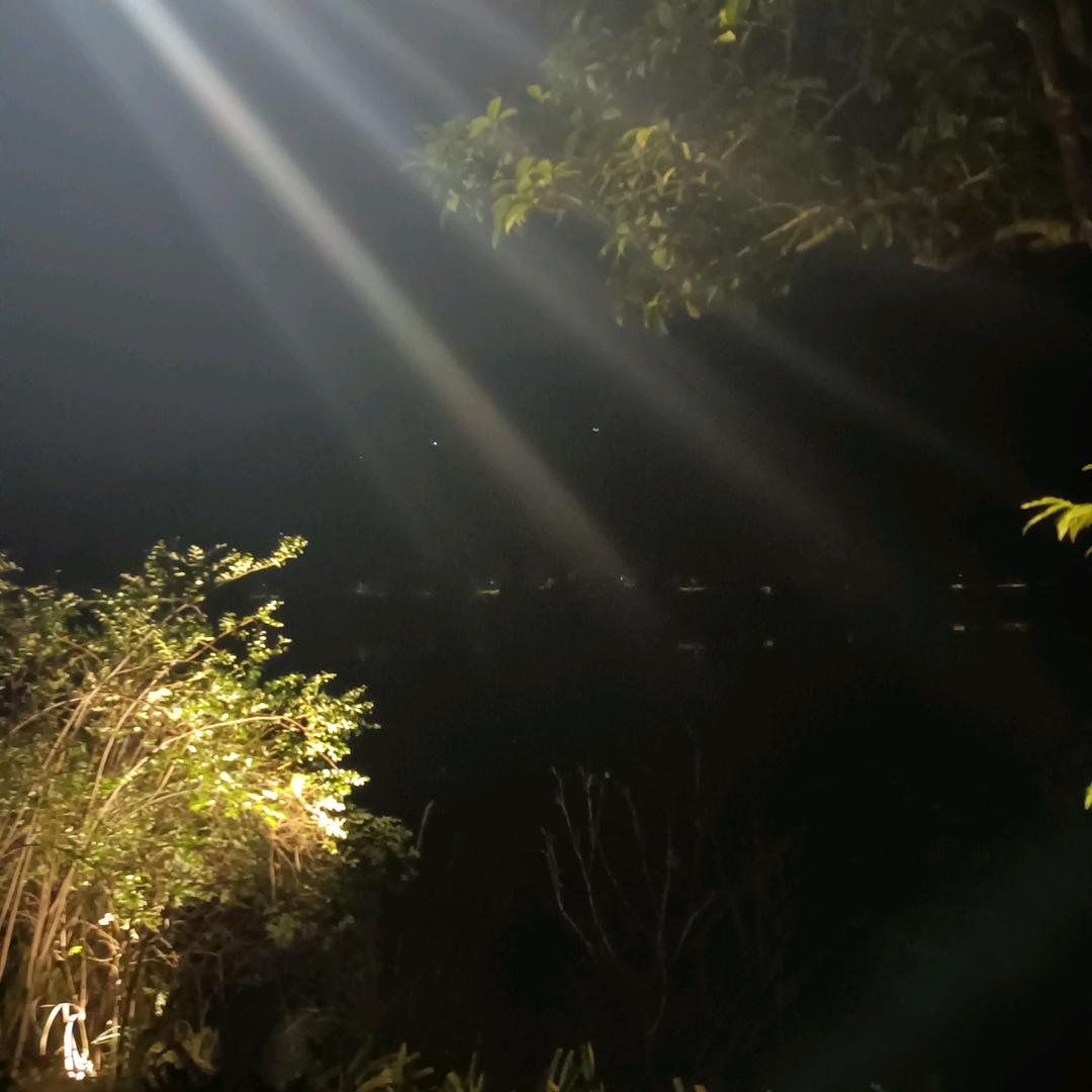 海哥