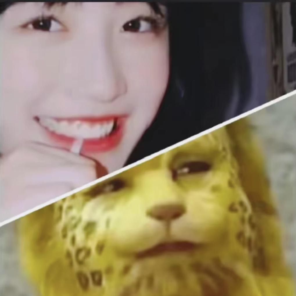 尘羽