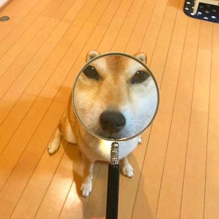 小碗