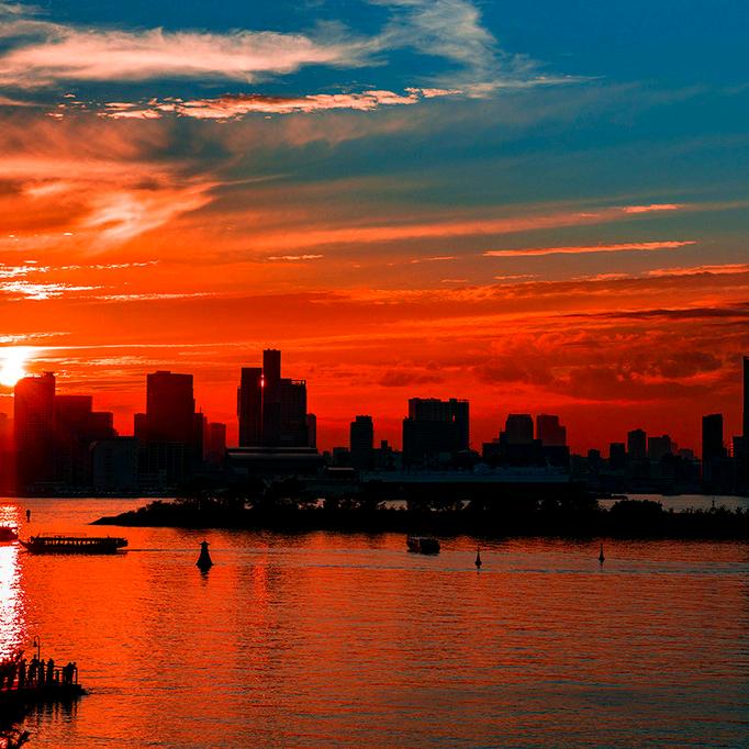 茫茫人海沙棘果