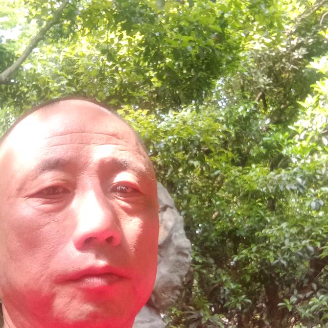 老朱