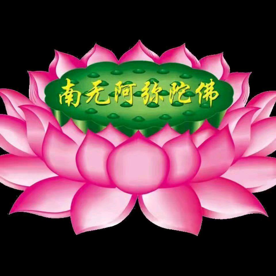 天意吉清