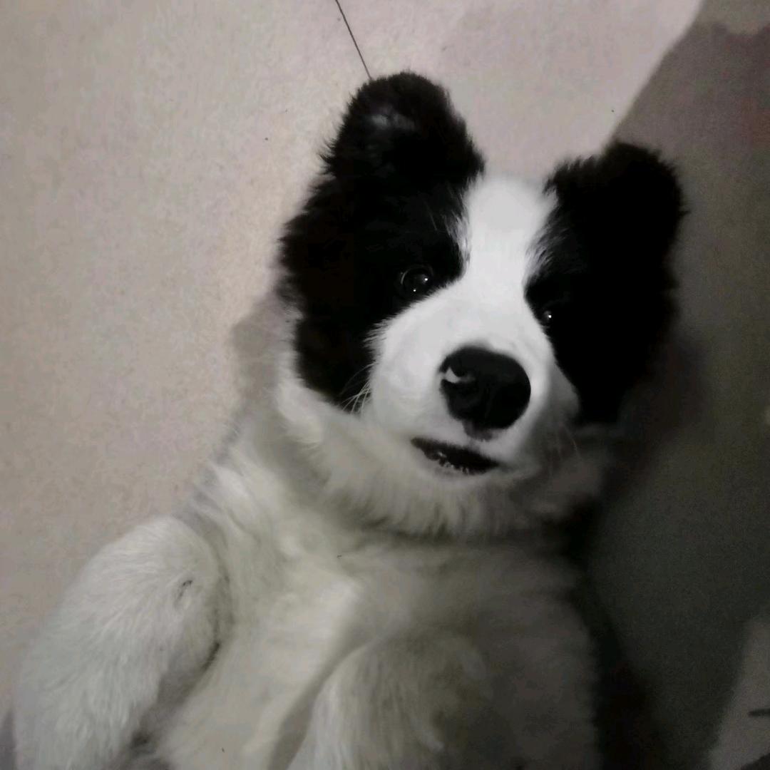 相由心生