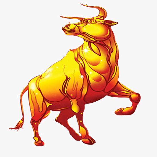 小白影视