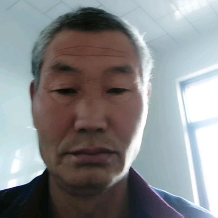 自由飞翔的小鸟