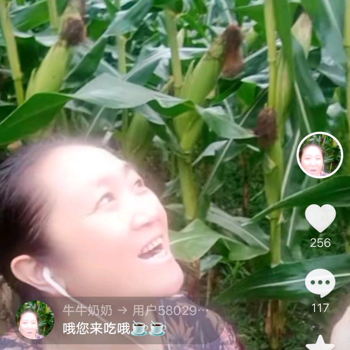 刘牛奶奶