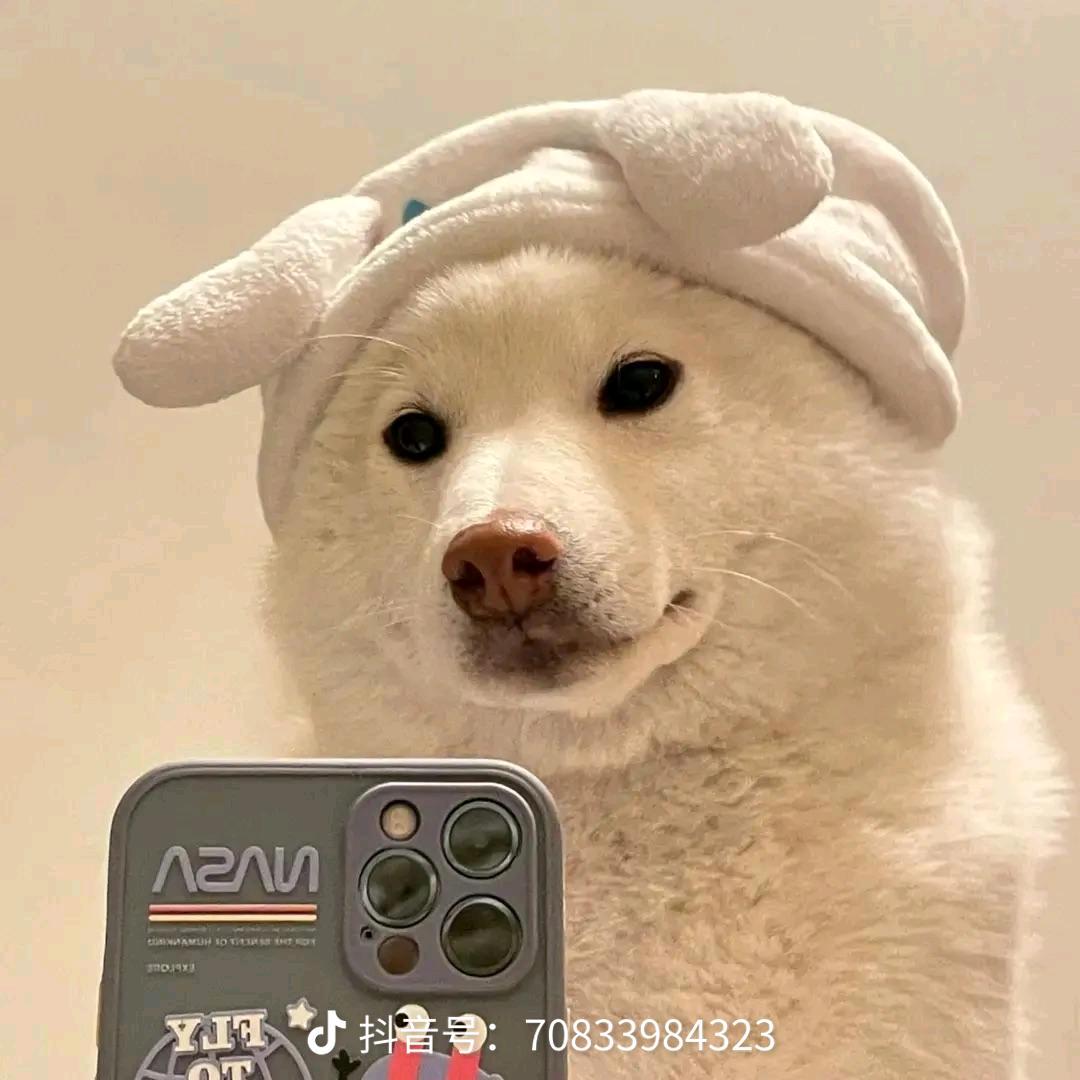 云鹤遐想