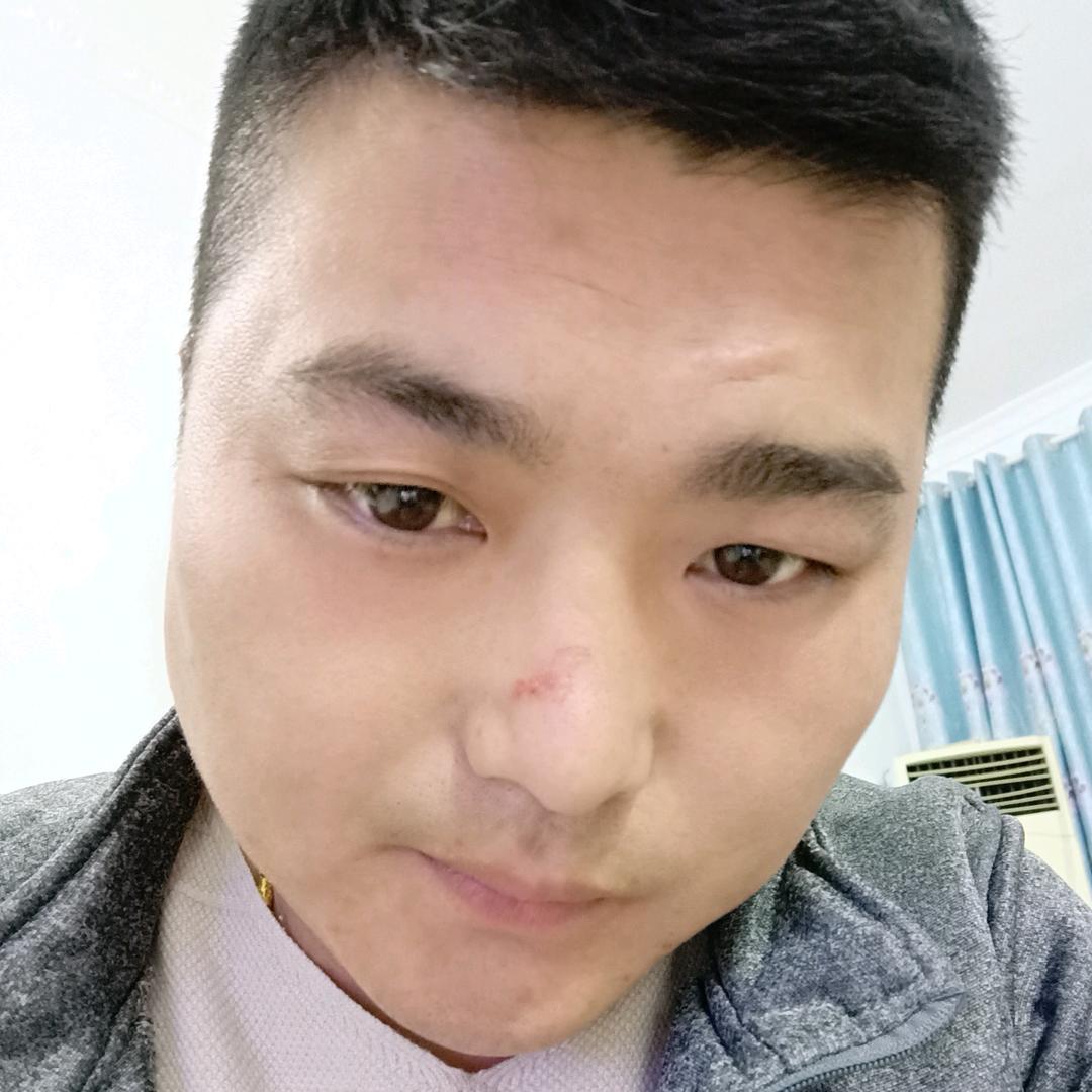 无人区的仙人掌