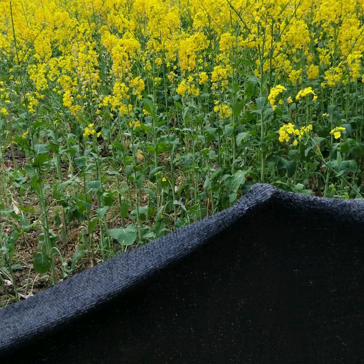 用户85465900054