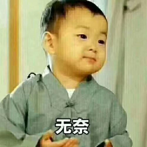 社会不惯任何人