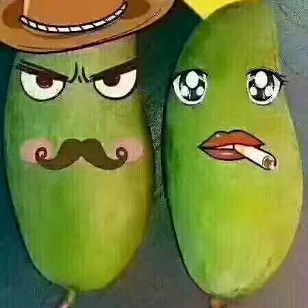 攀枝花芒果直通车