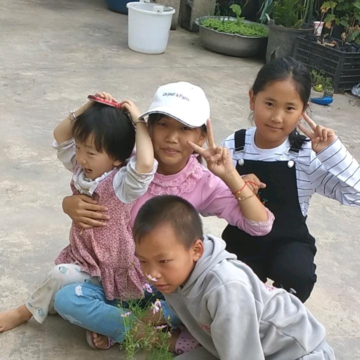 雏菊☘