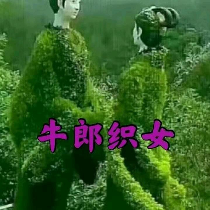 宜生为你守护