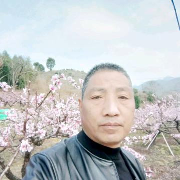 宝骏哥