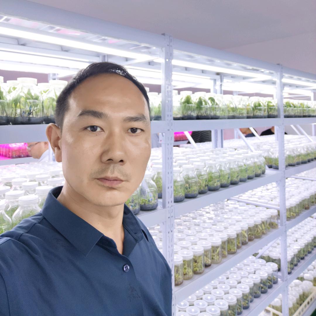 秦哥教你种药材