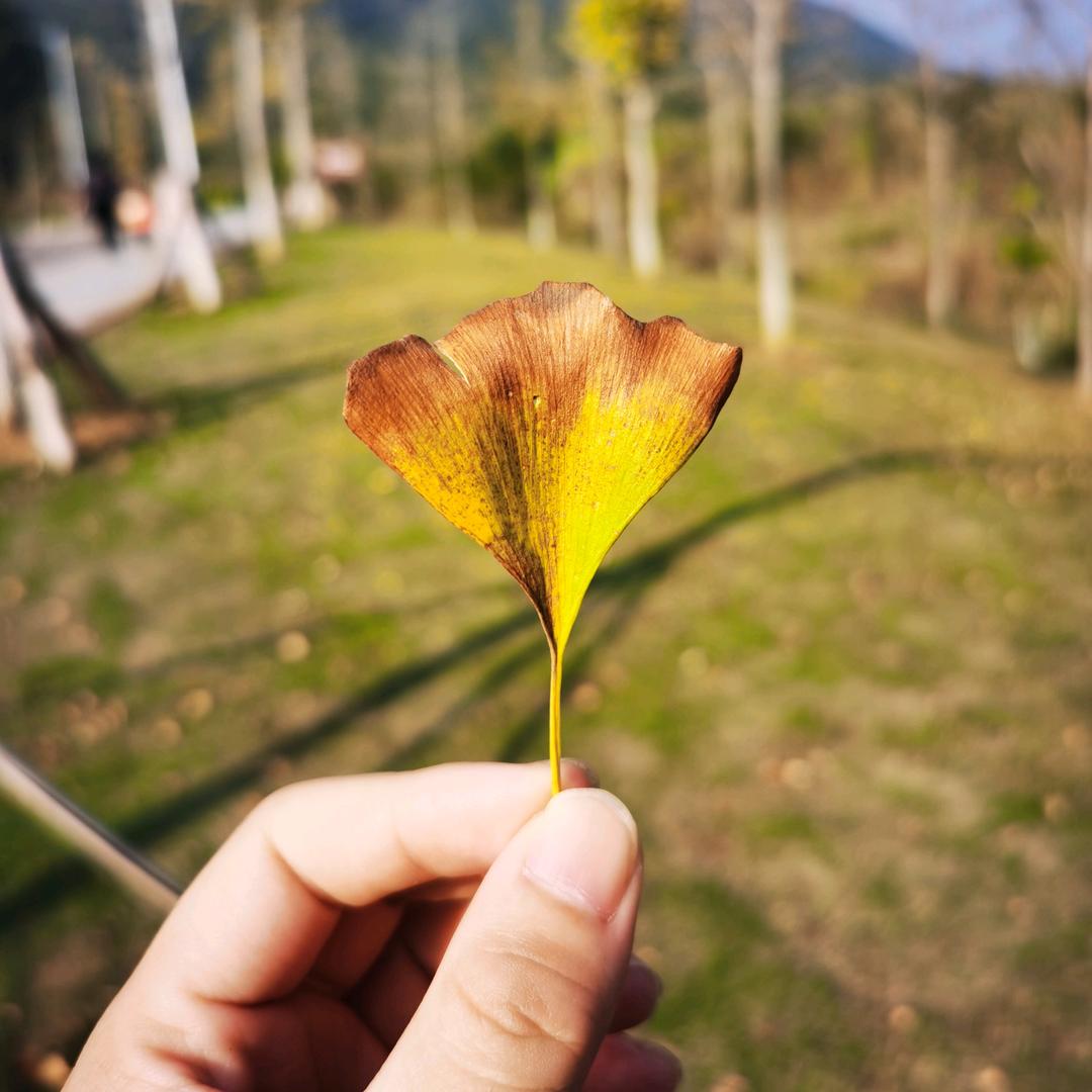 陈小暖便当日记