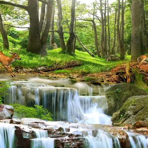 山清水秀