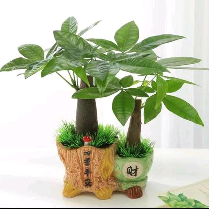 幸福已来敲门！