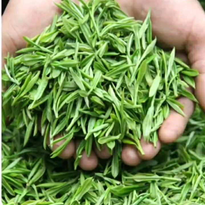 人生，如梦《感恩圣哥》