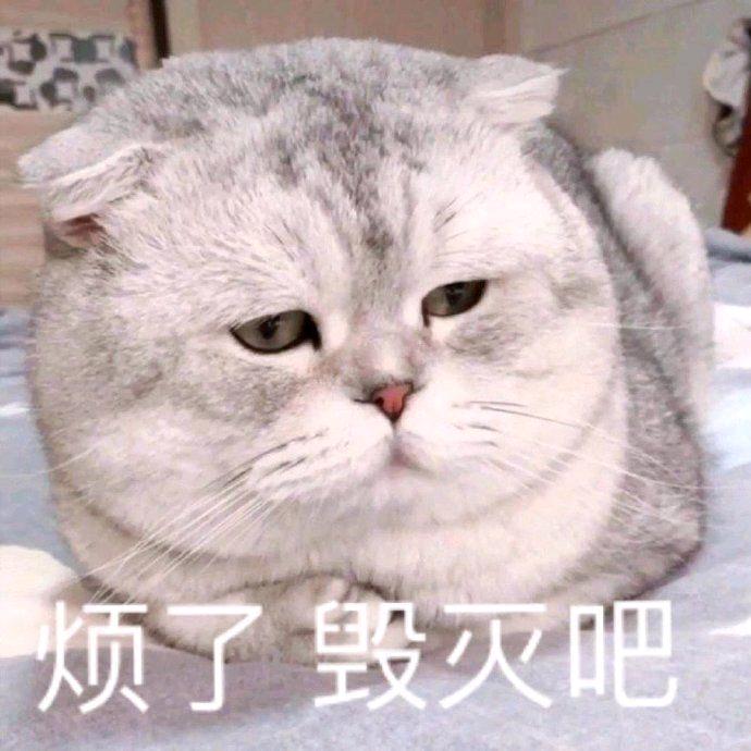 泡了个沫