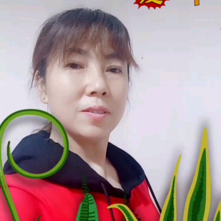 花开花落，不许连赞》