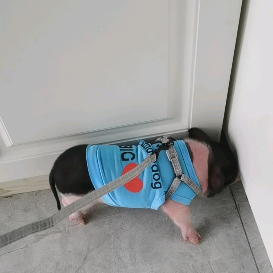 (^_^) 满天星辰▃不及你💕🎶