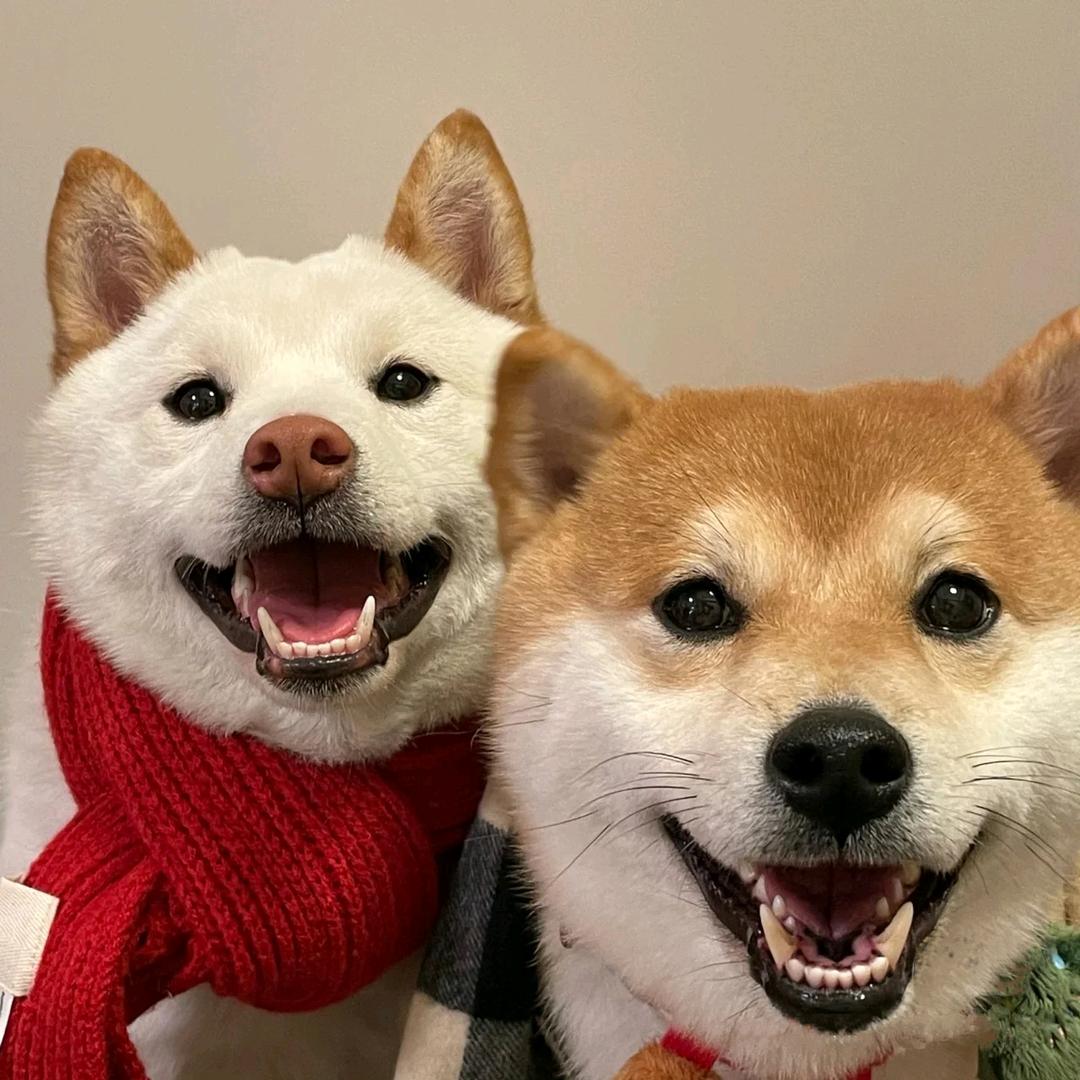 🔥人最重要是开心