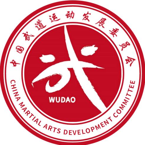 中国武道运动