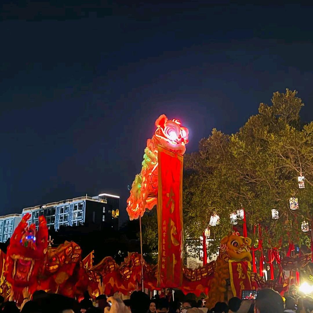 机智的橙子