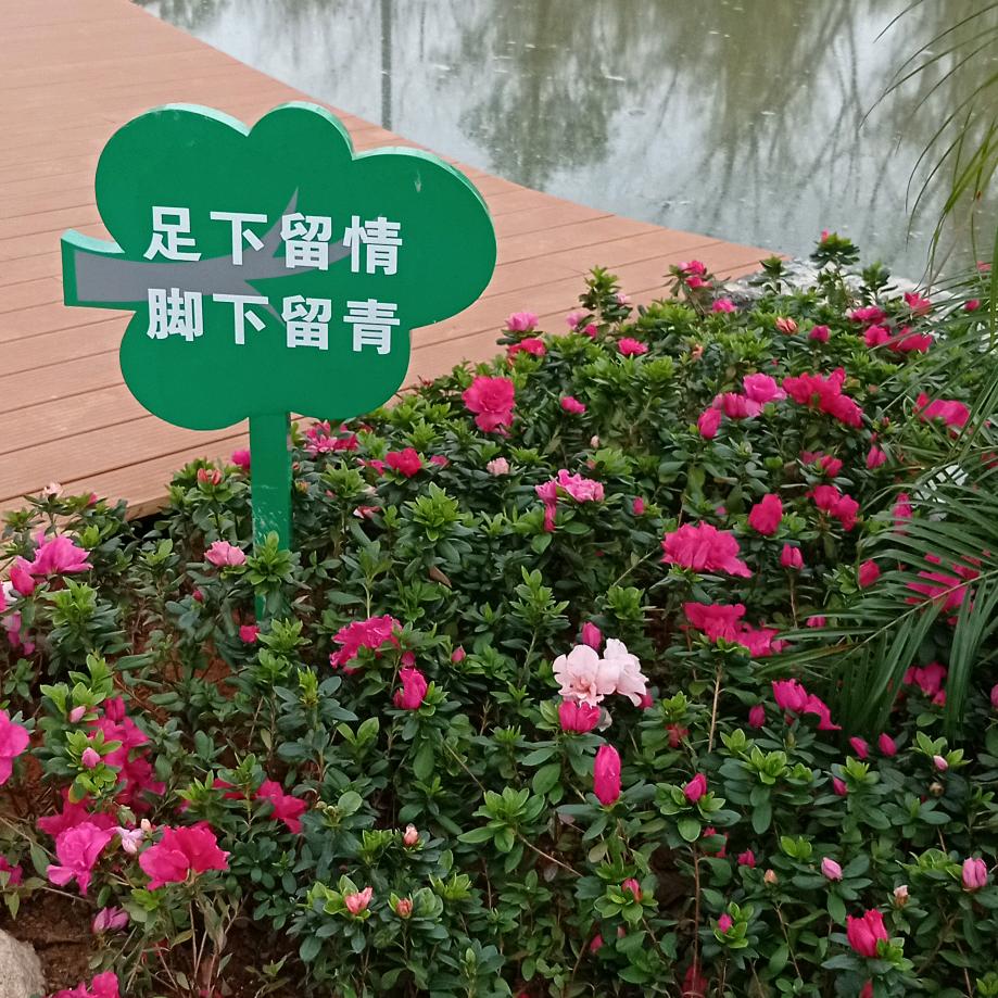 爱
