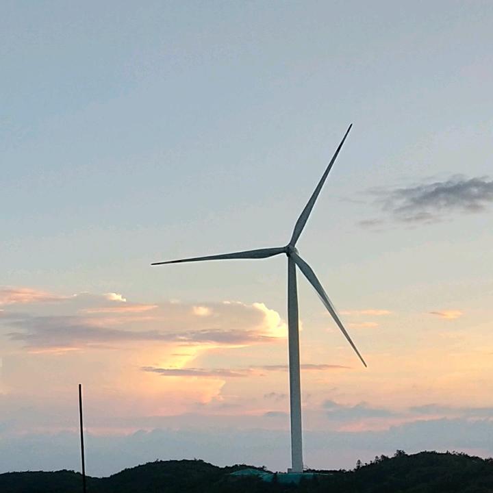 輝鸽