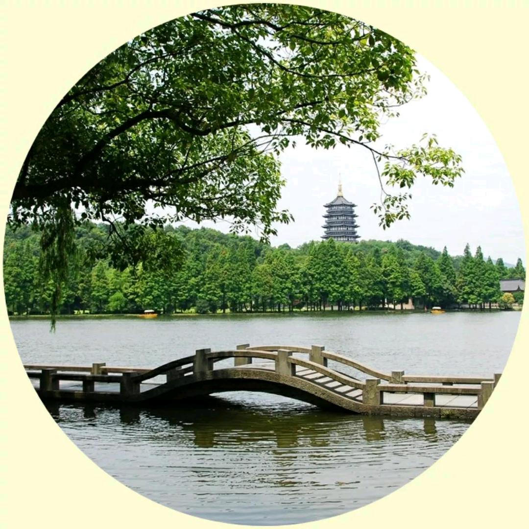 山西老姜