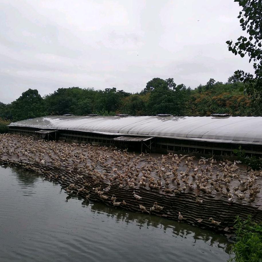 娜妮🌹哈❤喽🌹