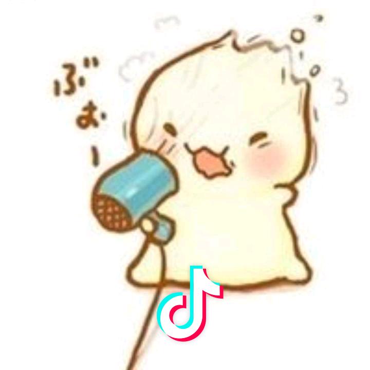 我的小马甲