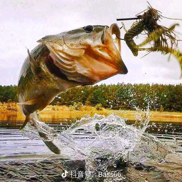 小偉