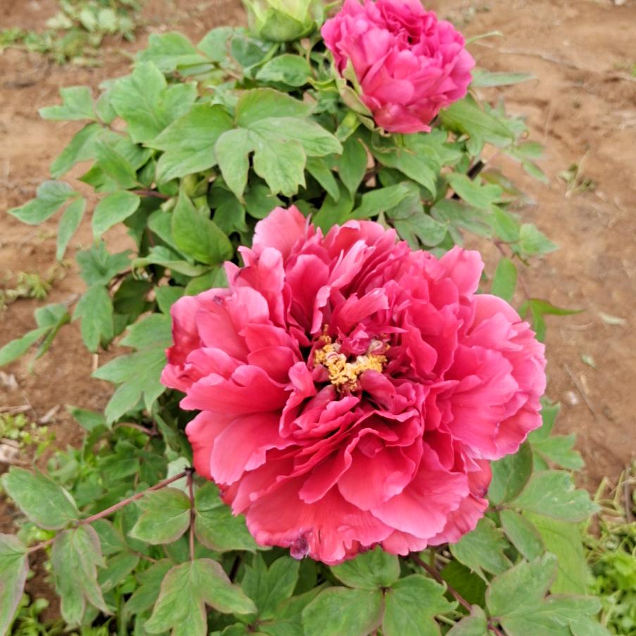 手机用户78666149046汪