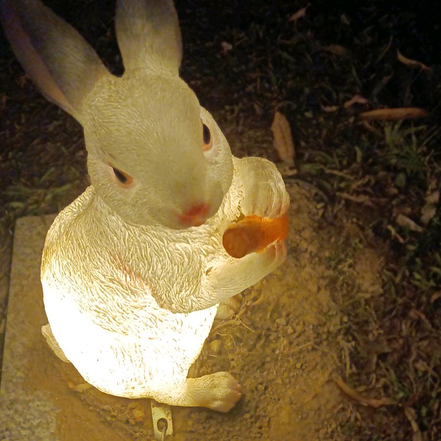 收猪小哥，好害都收！