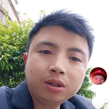 杨杨GO
